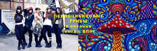 СК Алексеевка