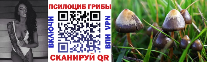 цены наркотик  Протвино  Псилоцибиновые грибы ЛСД 